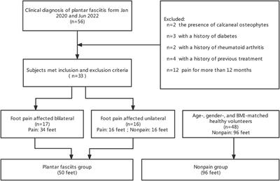 Elasticity evaluation of the plantar fascia: A shear wave elastography study involving 33 early-stage plantar fasciopathy subjects